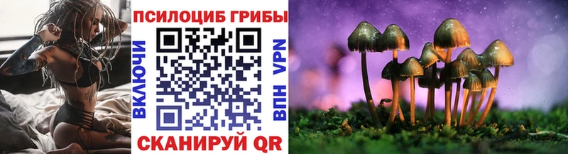 купить  сайты  Медногорск  Псилоцибиновые грибы Psilocybe 