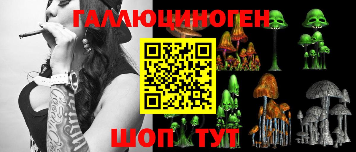 Медногорск  Псилоцибиновые грибы мухоморы  Псилоцибиновые грибы Cubensis  Вход с VPN 