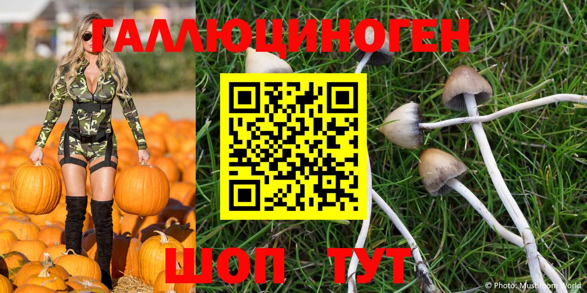 Галлюциногенные грибы Psilocybine cubensis  Медногорск 