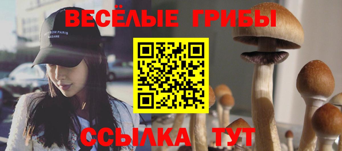 Галлюциногенные грибы Magic Shrooms Медногорск